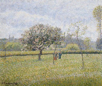 Jabłoń w Kwiecie w Eragny; Pommier en Fleur a Eragny, 1888 autorstwa Camille Jacob Pissarro