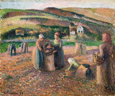 Zbieranie ziemniaków, 1893 autorstwa Camille Jacob Pissarro