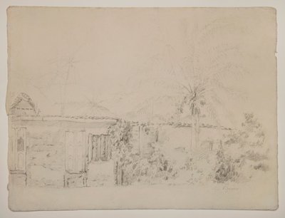 Domy i palmy autorstwa Camille Pissarro