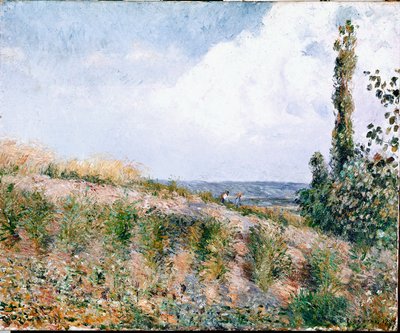Pejzaż (olej na płótnie) autorstwa Camille Jacob Pissarro