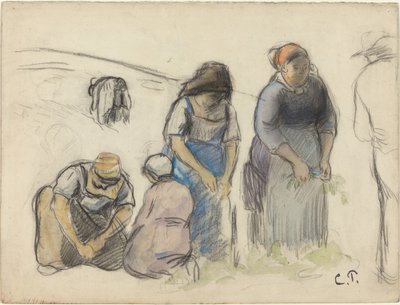 Kombajny do grochu [recto], ok. 1930 r. 1880. autorstwa Camille Pissarro