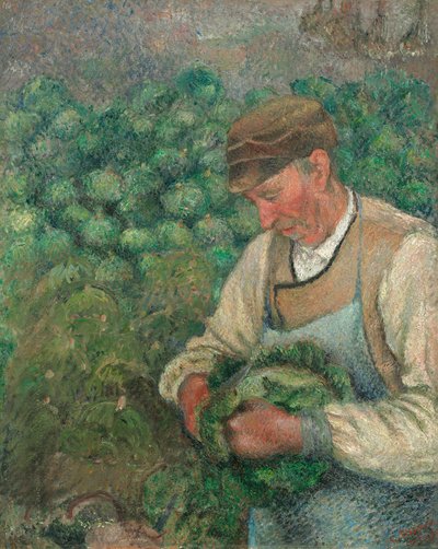 Ogrodnik - Stary Chłop z Kapustą autorstwa Camille Pissarro