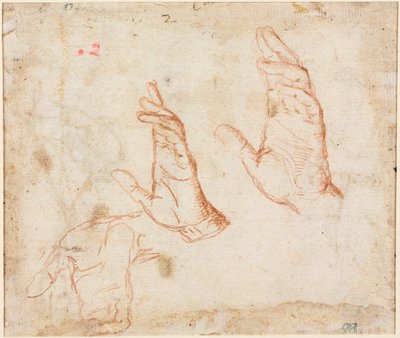 Studium rąk (verso) autorstwa Camillo Procaccini