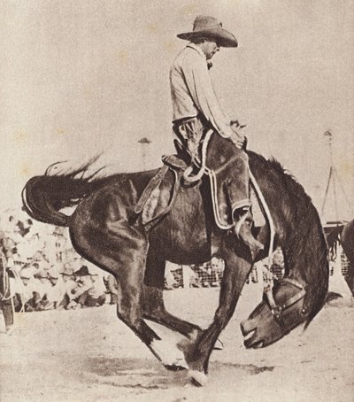 Kowboj ujeżdżający bronco (zdjęcie czarno-białe) autorstwa Canadian Photographer