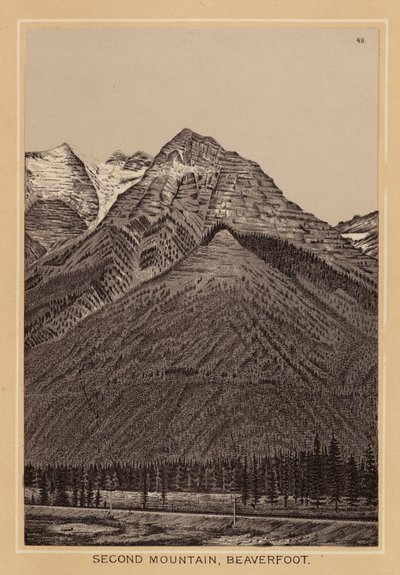 Kanada: Second Mountain, Beaverfoot (litografia) autorstwa Canadian School