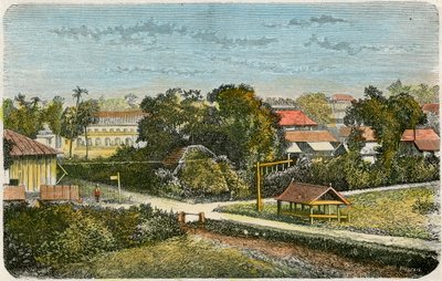 Tonga, ok. 1885 r. autorstwa Canedi Barberis