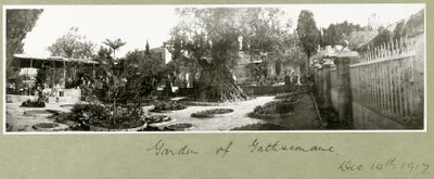 Ogród Getsemani, 14 grudnia 1917 autorstwa Capt. Arthur Rhodes