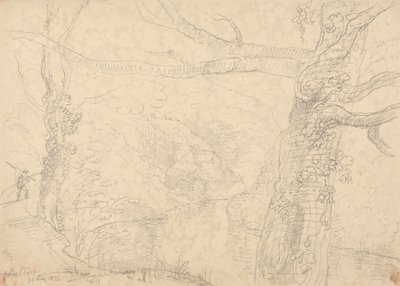 Holne Chase, 30 maja 1833 autorstwa Capt. Thomas Hastings