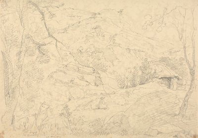 W Bradley Vale, 30 maja 1833 r autorstwa Capt. Thomas Hastings