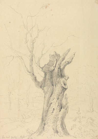 W parku Lorda Yarborough, Appuldurcombe, Isle of Wight autorstwa Capt. Thomas Hastings