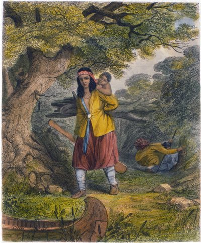 Indianki zaopatrujące się w paliwo, 1853 autorstwa Captain Seth Eastman
