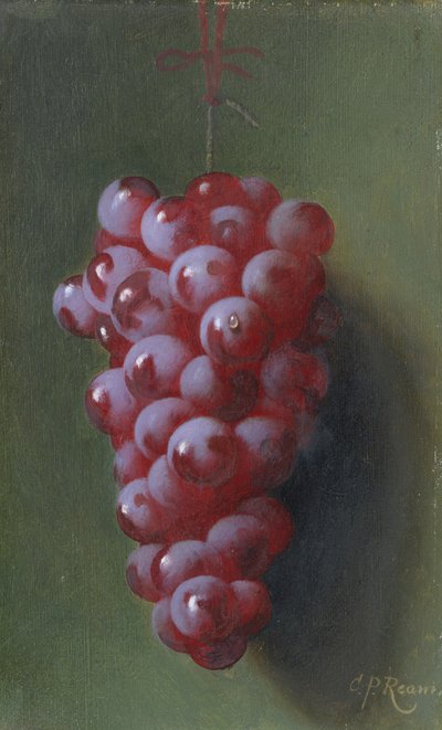 Martwa natura z winogronami. autorstwa Carducius Plantagenet Ream