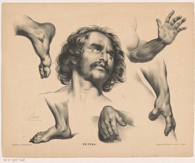 Głowa mężczyzny, stopy, dłonie i ramiona Pictura (tytuł serii na obiekcie) autorstwa Carel Christiaan Antony Last