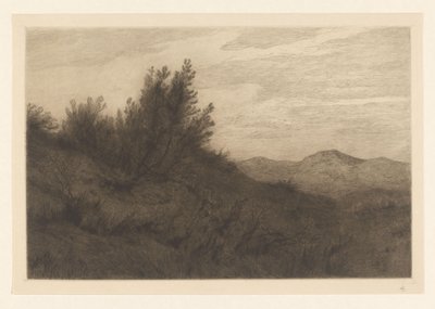 krajobraz wydm Les dunes w Zandvoort (tytuł oryginalny) autorstwa Carel Nicolaas Storm van 