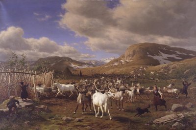 Stado reniferów jest pędzone na dojarnie. Motyw z wysokich gór na północ od Røros autorstwa Carl Bøgh