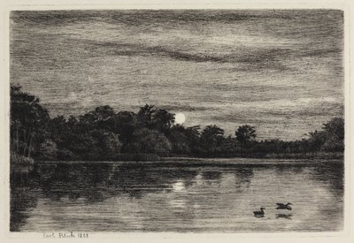 Bondedammen w Hellebæk. światło księżyca autorstwa Carl Bloch