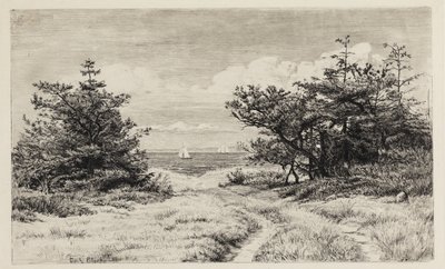 Widok na morze autorstwa Carl Bloch