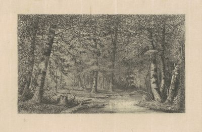 Las bukowy autorstwa Carl C. Brenner