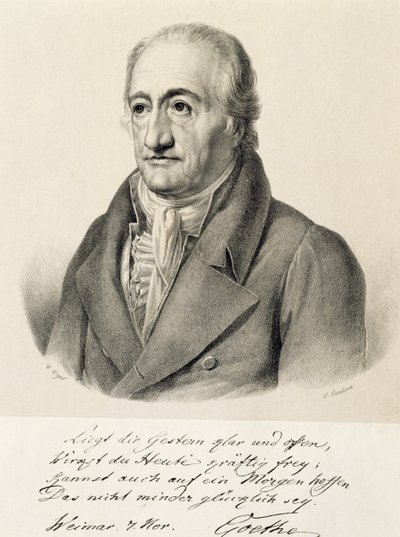 Иоганн Вольфганг фон Гётегийн хөрөг (Франкфуртполи autorstwa Carl Christian Vogel von Vogelstein