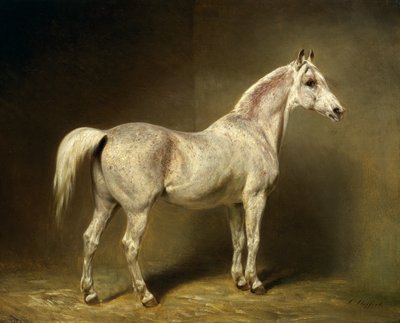 „Beatrice”, biały arabski koń wierzchowy Helmutha Grafa von Moltke, 1855 autorstwa Carl Constantin Steffeck