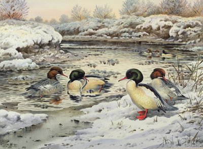 Goosandery autorstwa Carl Donner