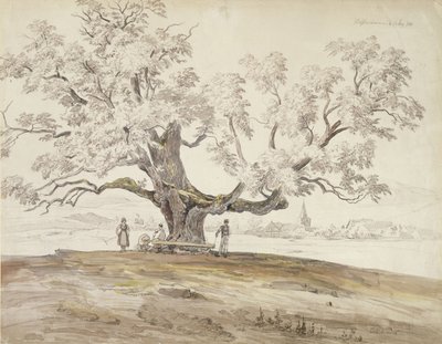 Widok Wolfershausen bei Meiningen ze starym dębem, 1844 (grafit i wc na papierze) autorstwa Carl Ernst Ludwig Wagner