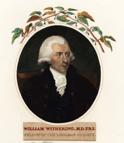 Portret Williama Witheringa, lekarza i botanika autorstwa Carl Frederik van (after) Breda