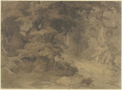  autorstwa Carl Friedrich Lessing