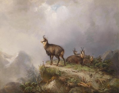 Carl Ockert Chamois autorstwa Carl Friedrich Ockert