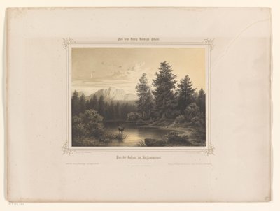 Widok na wodę w Salzkammergut Flus der Gossau im Salzkammergut (tytuł na obiekcie) Album przedstawiony Ludwikowi Bawarskiemu (tytuł serii) Album Königa-Ludwiga (tytuł serii) autorstwa Carl Friedrich Würthle