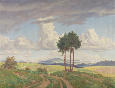 droga polna autorstwa Carl Gödel