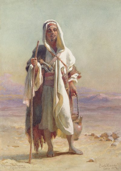 Młody Bedaee z Synaju, 1873 autorstwa Carl Haag