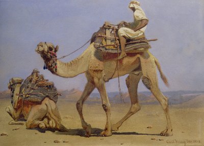 Wielbłąd przygotowujący się do położenia się, 1858 autorstwa Carl Haag