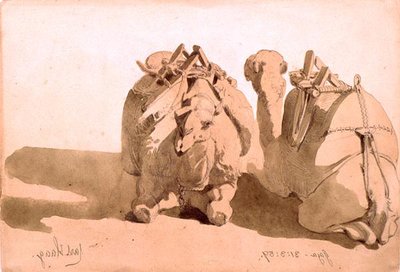 Studium wielbłądów autorstwa Carl Haag