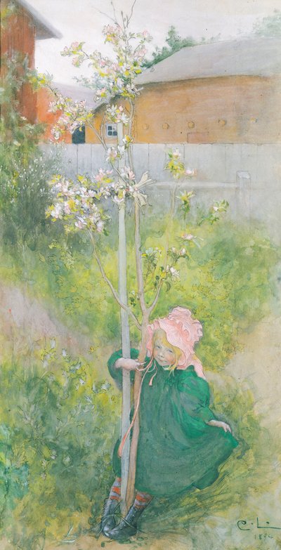 Kwiat jabłoni, 1894 autorstwa Carl Larsson