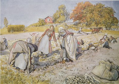Kopanie ziemniaków autorstwa Carl Larsson