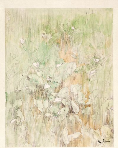 Kallor autorstwa Carl Larsson