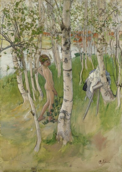 Nagi chłopiec wśród brzóz, 1898 (wc na papierze) autorstwa Carl Larsson