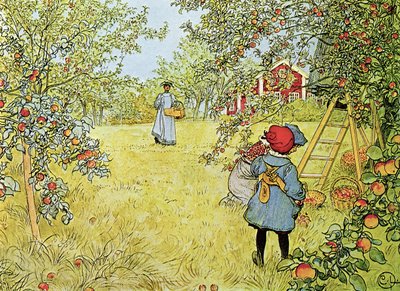 Zbiory jabłek autorstwa Carl Larsson