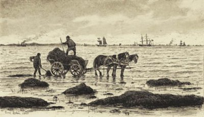 Rolnicy jeżdżą wodorostami autorstwa Carl Locher