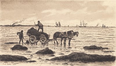 Rolnicy jeżdżą wodorostami autorstwa Carl Locher
