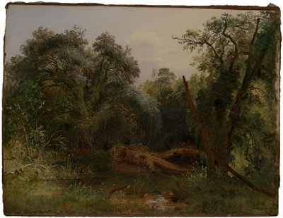 autorstwa Carl Morgenstern