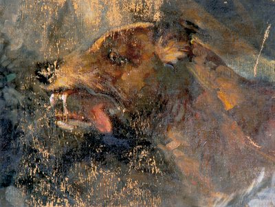 głowa psa autorstwa Carl Rudolf Huber