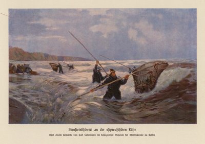 Zbieranie bursztynu w Morzu Bałtyckim, Prusy Wschodnie (kolorowa litografia) autorstwa Carl Saltzmann