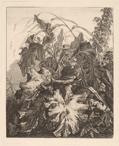 Liście z trzcinami autorstwa Carl Wilhelm Kolbe
