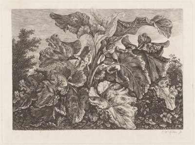Badanie roślin z łopianem autorstwa Carl Wilhelm Kolbe