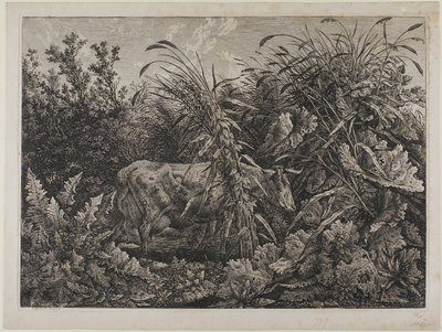 Krowa w strumieniu autorstwa Carl Wilhelm Kolbe the elder