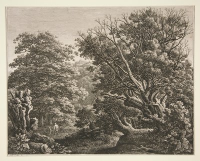 Krajobraz z sękatym drzewem autorstwa Carl Wilhelm Kolbe the elder