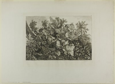 Rośliny bagienne autorstwa Carl Wilhelm Kolbe, the elder