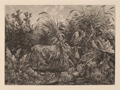 Krowa na bagnach autorstwa Carl Wilhelm Kolbe, the elder